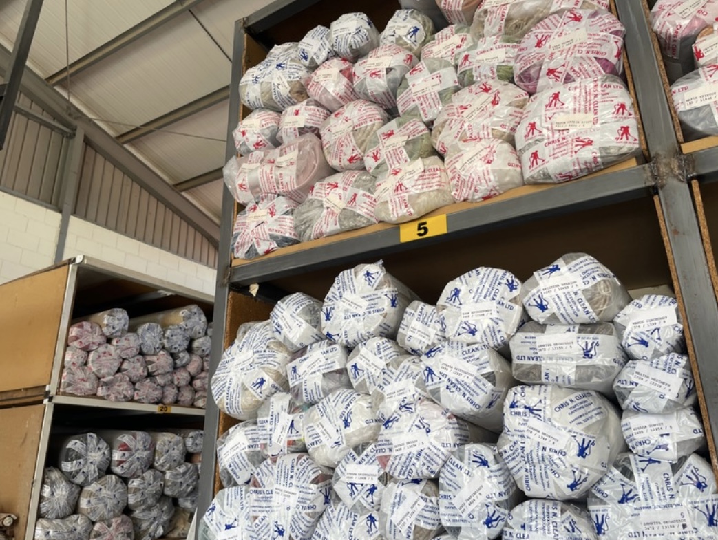 Professional carpet cleaning service